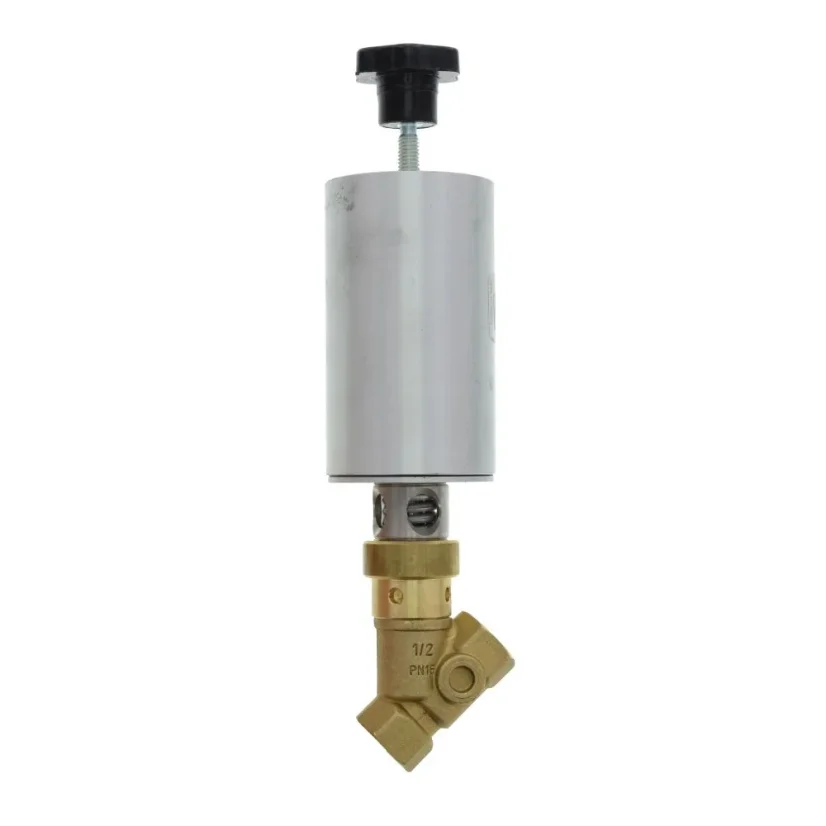 Pneumatický parný ventil 1/2" Pneumatický parný ventil 1/2"